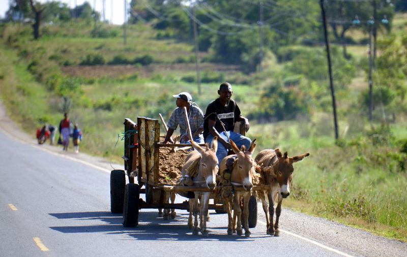 1094-往甜水區的路上-運土方的驢車