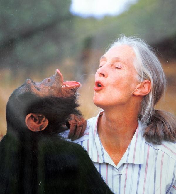 1265-甜水區-黑猩猩保育區-宣傳照片