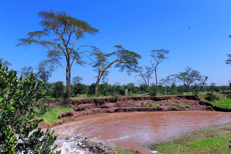 1312-肯亞-甜水區-黑猩猩保育區