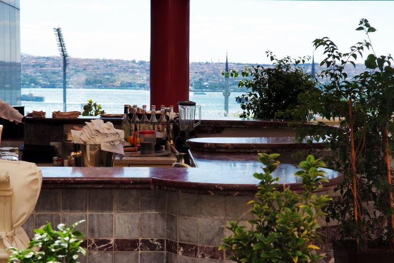 361-伊斯坦堡-RITZ CARLTON 飯店-窗外景觀