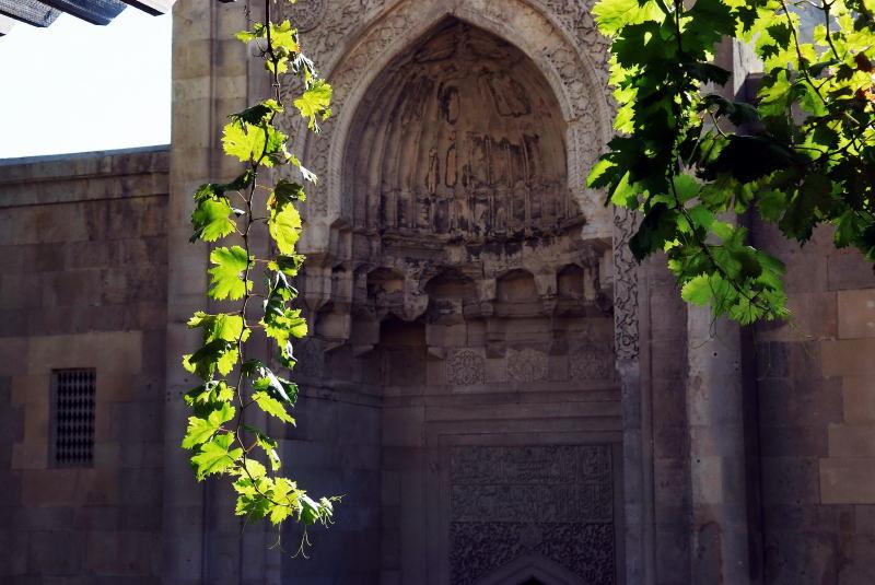 6936-亞塞拜然-巴庫-希凡沙王的王宮與葡萄樹.JPG