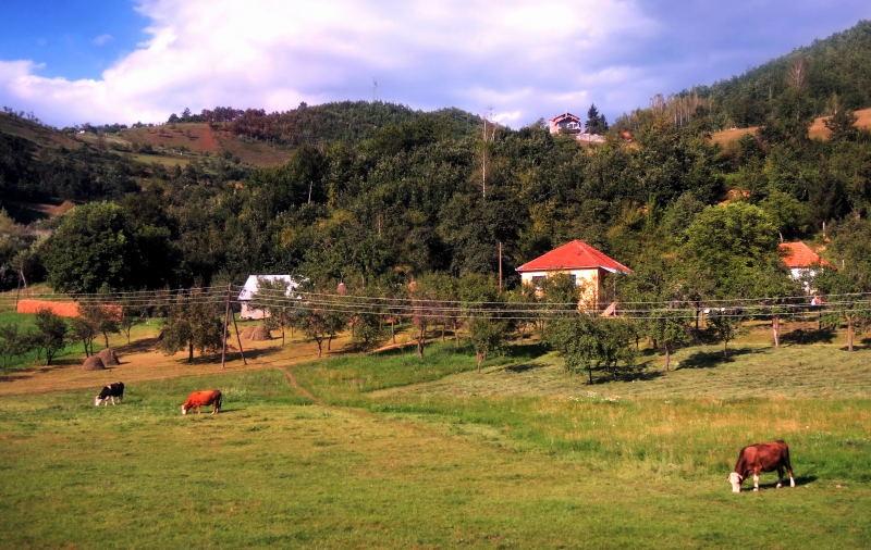 6278-科索沃往黑山國-黑山的農村景觀.JPG