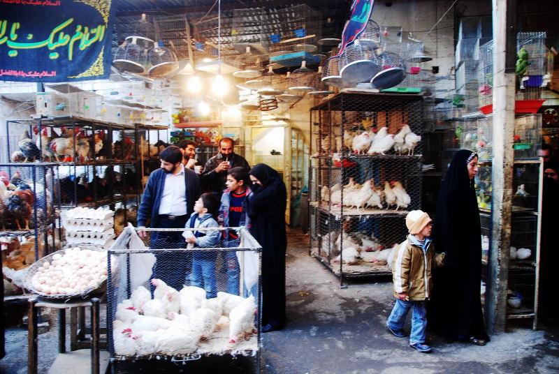 4360-伊斯法罕-巴札-雞肉攤販