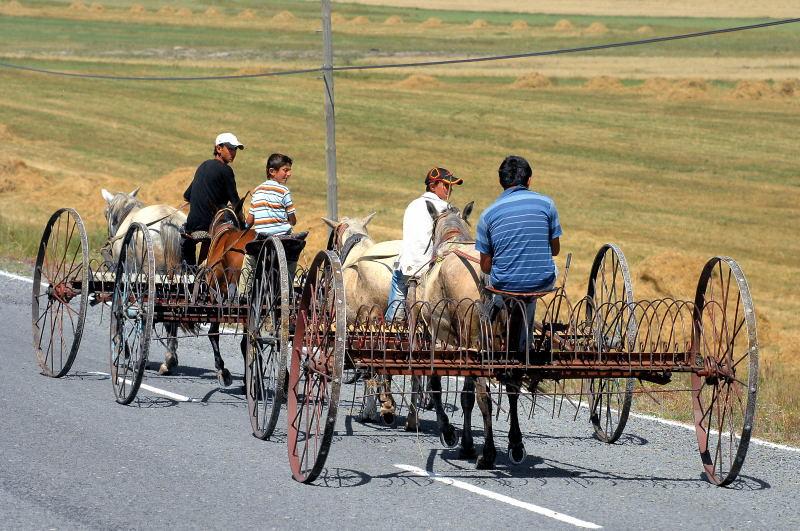 1550-東土耳其-多烏貝雅奇特-捲草機馬車