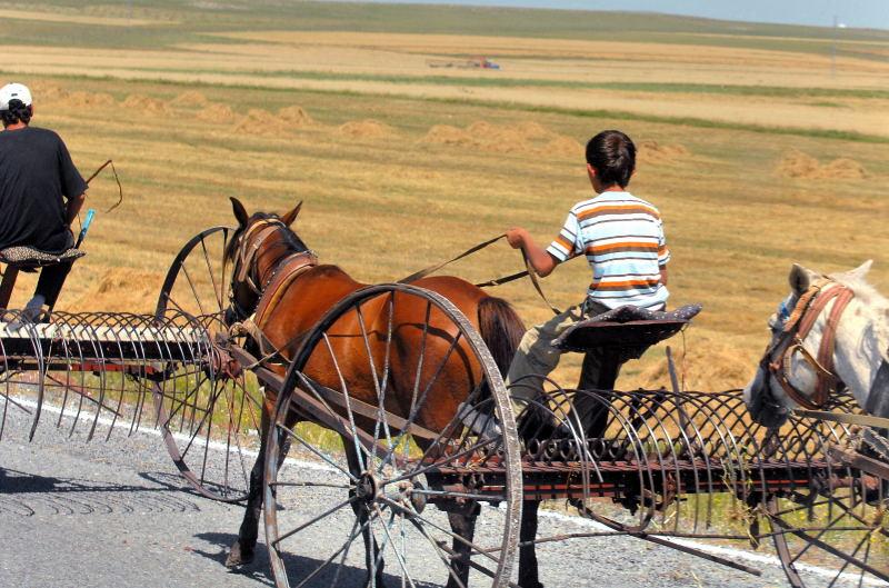 1552-東土耳其-多烏貝雅奇特-捲草機馬車