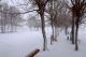58.蘇丹尼葉城的冬季雪景_Soltaniyeh, snow scenes