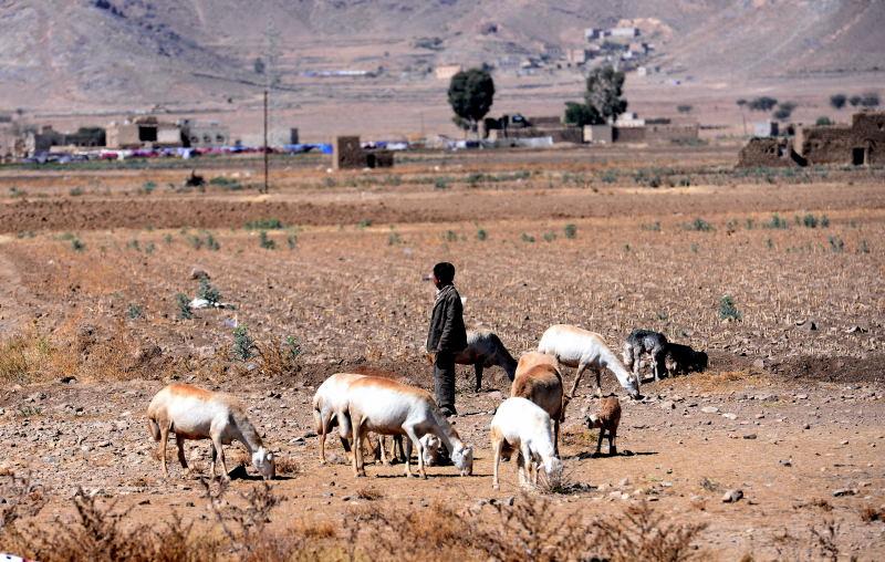 981-伊布-巴丹山脈的牧羊人.JPG