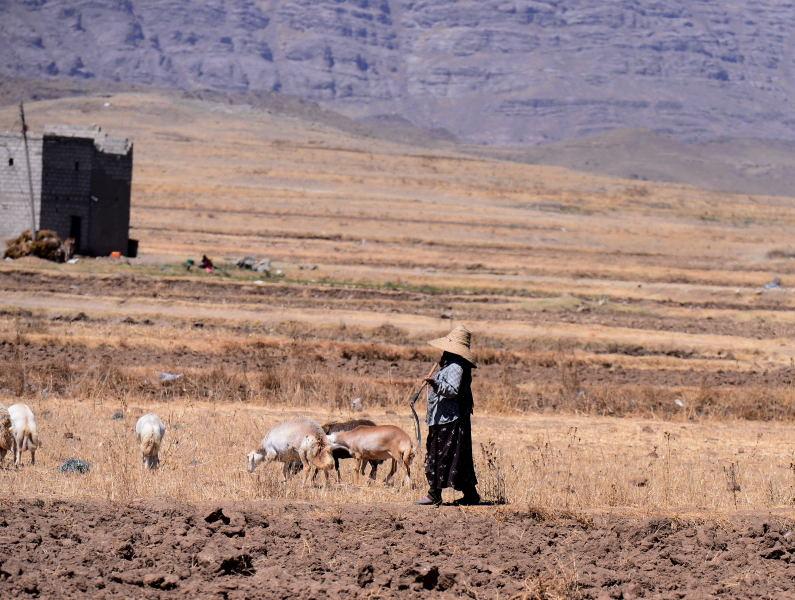 1012-伊布-巴丹山脈的牧羊人.JPG