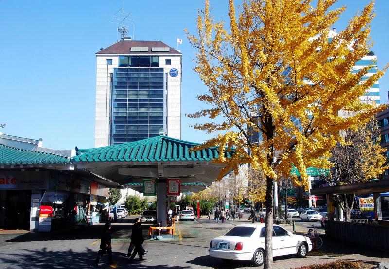 1160-首爾的銀杏路樹-加油站