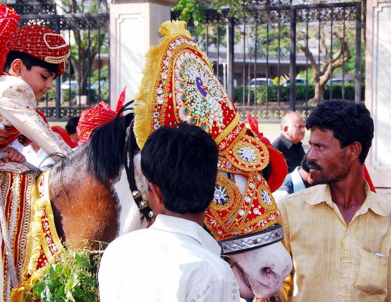 3619-奧蘭卡巴-婚禮遊行-花童騎白馬