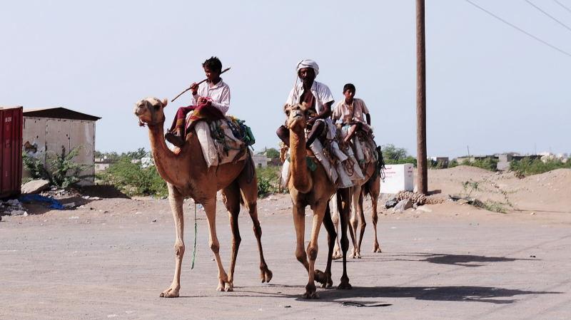 2794-何台達-郊區的駱駝隊