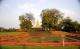 81.鹿野宛佛教遺跡公園_Sarnath, Park of the Ruins 