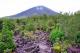 08.阿雷納火山公園_Arenal Volcano National Park