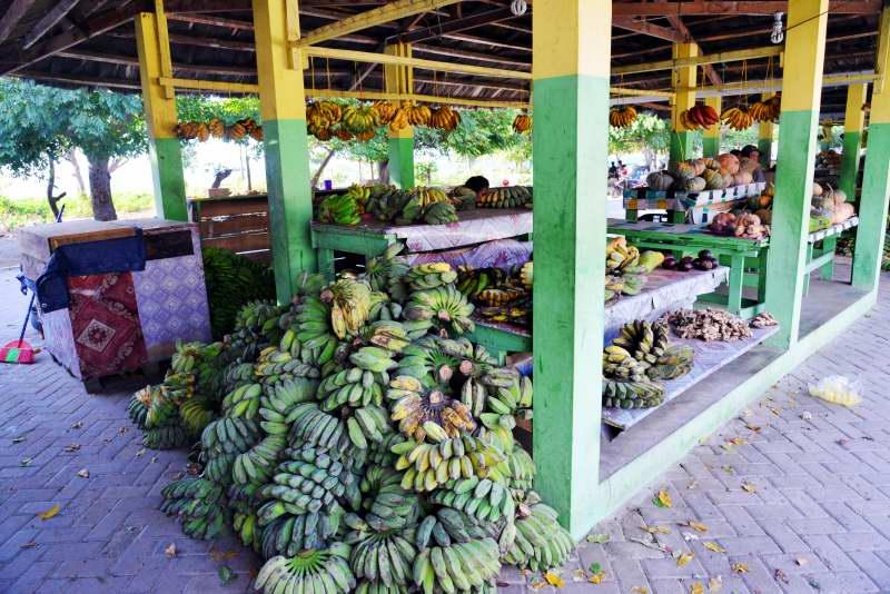243-觀光果菜市場-東帝汶