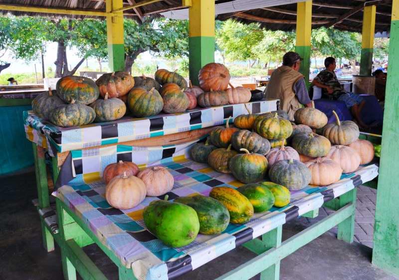244-觀光果菜市場-東帝汶