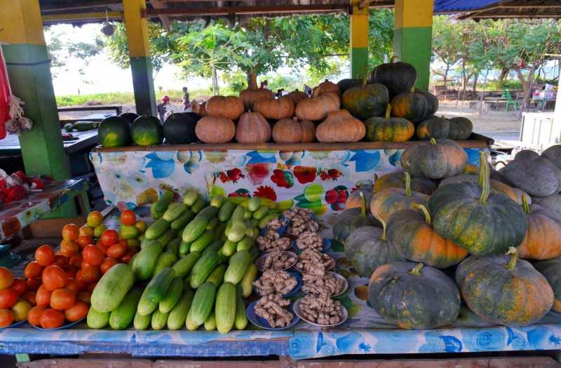 252-觀光果菜市場-東帝汶