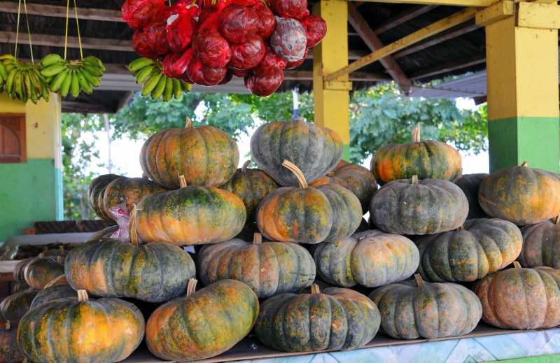 255-觀光果菜市場-東帝汶