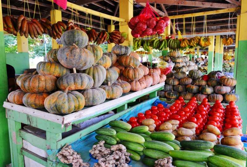 256-觀光果菜市場-東帝汶