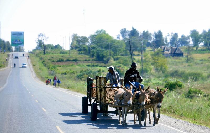 1093-往甜水區的路上-運土方的驢車