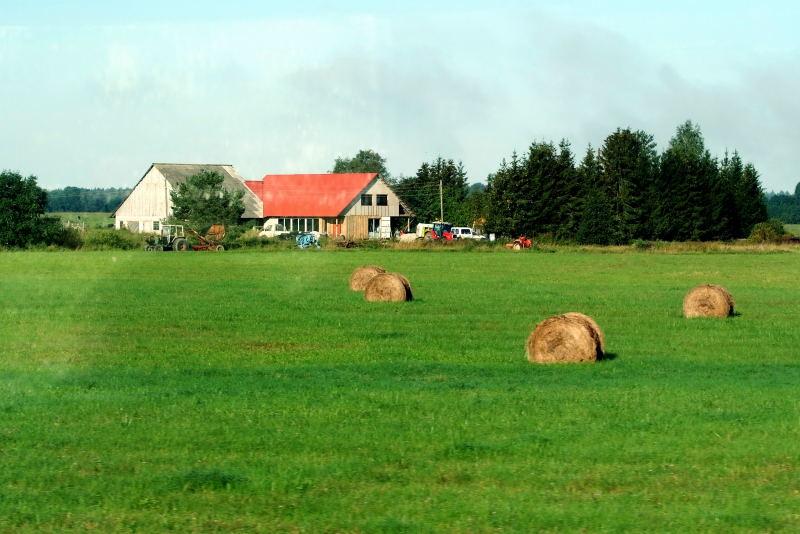 3052-車拍-愛沙尼亞-邊界農牧場.JPG