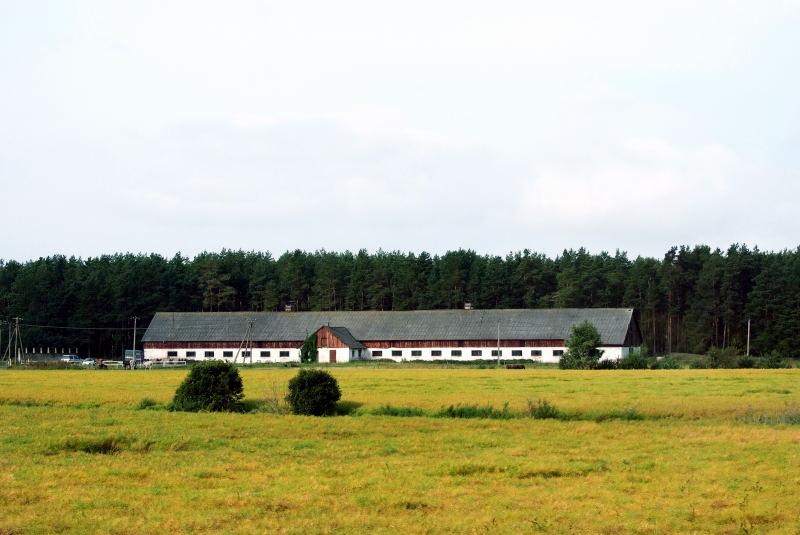 3065-車拍-愛沙尼亞-邊界農牧場.JPG