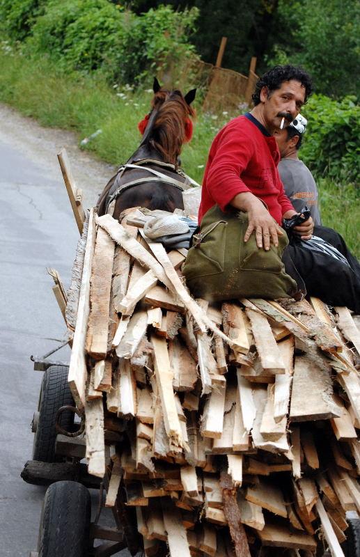 769-布加勒斯特郊區-運木材小馬車.JPG