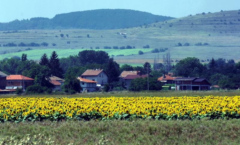 5710-塞爾維亞南部的景觀