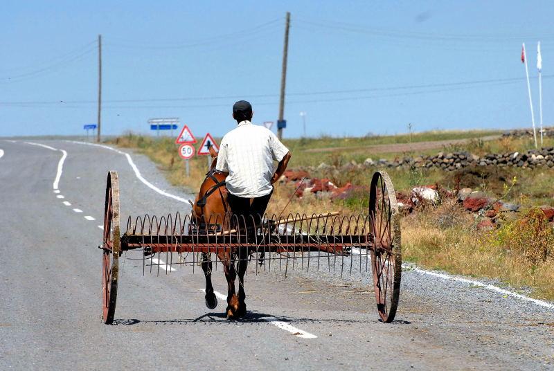 1545-東土耳其-多烏貝雅奇特-捲草機馬車