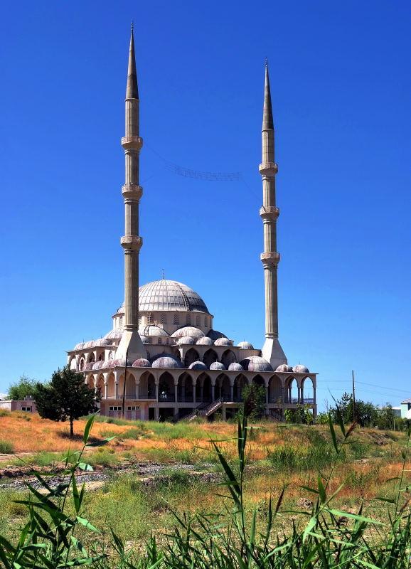 2180-東土耳其-梵貓養殖中心旁的清真寺.JPG