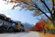 3.雪嶽山公園-楓樹篇_Korea, Seoraksan Mountain01