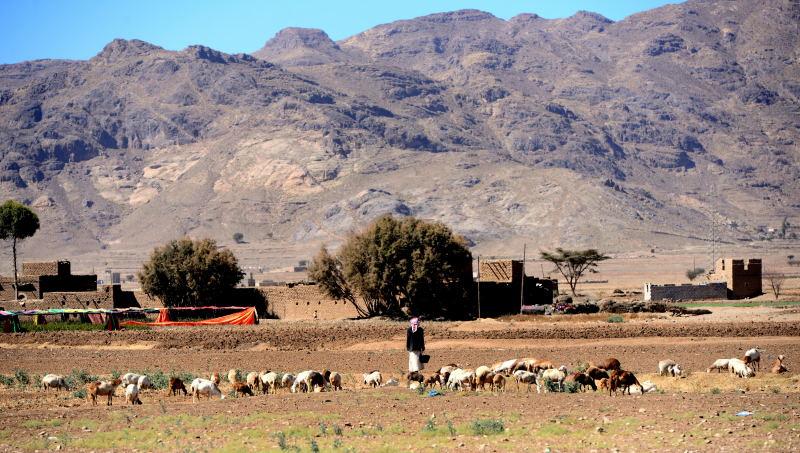 980-伊布-巴丹山脈的牧羊人.JPG