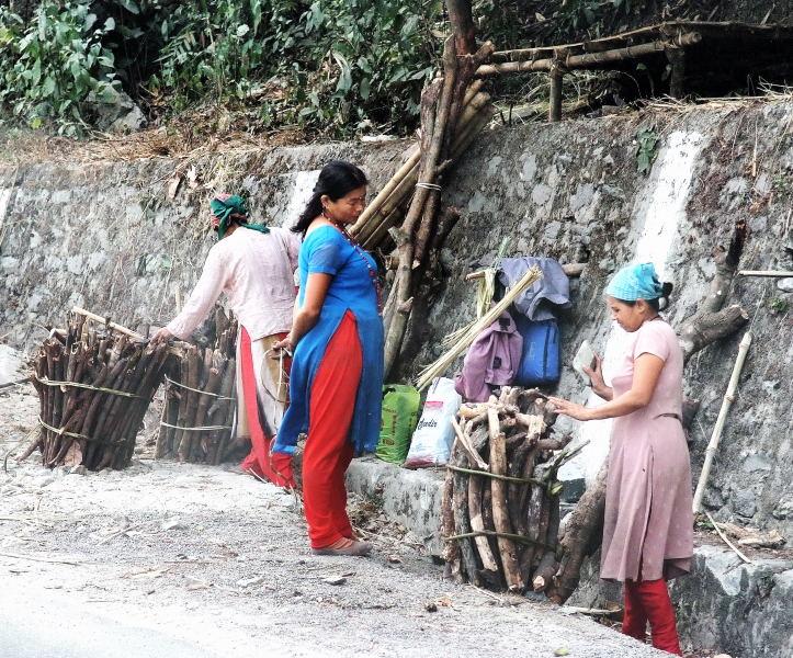3572-往不丹的路上-撿枯木的婦女.JPG