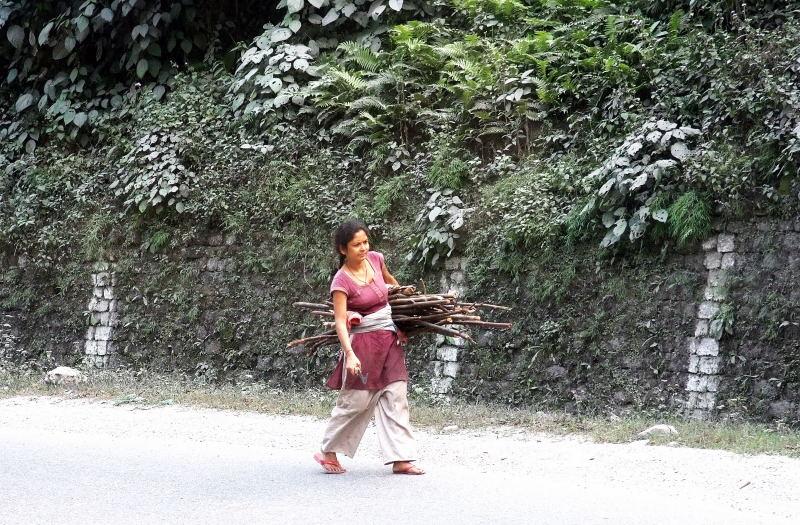 3573-往不丹的路上-撿枯木的婦女.JPG