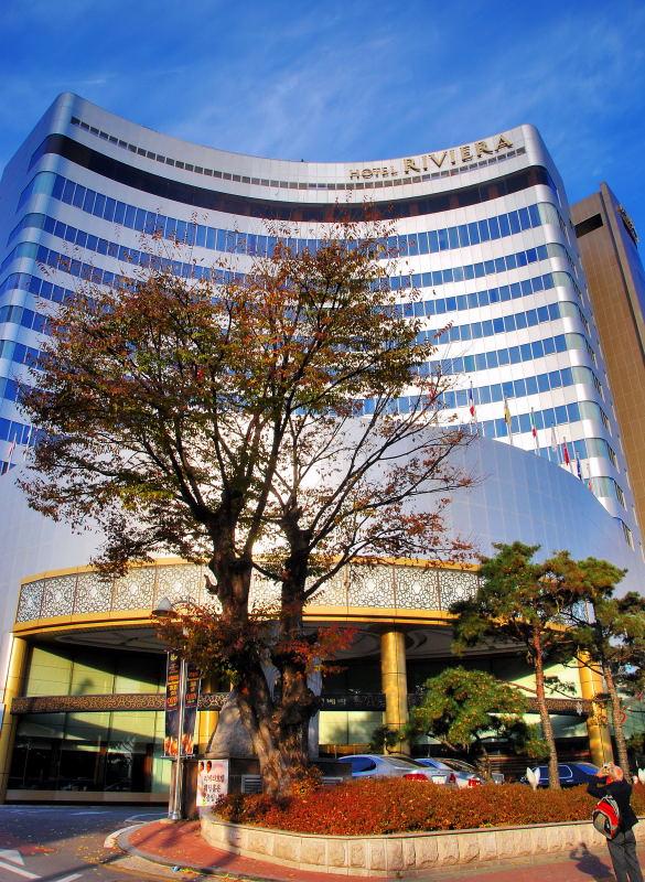 1190-首爾-里維耶拉飯店-老楓樹