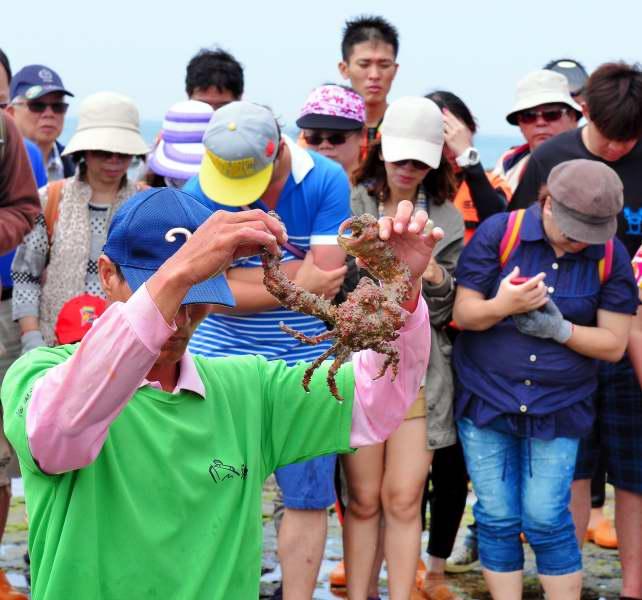 471-鳥嶼-生態之旅-石頭蟹