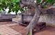 31.澎湖--潘安邦舊居與張雨生紀念館