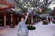 3-港麗酒店及招牌椰子樹