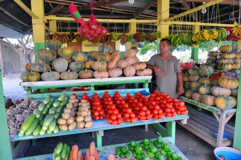 241-觀光果菜市場-東帝汶