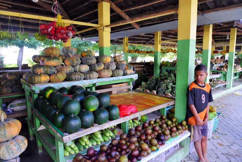 242-觀光果菜市場-東帝汶