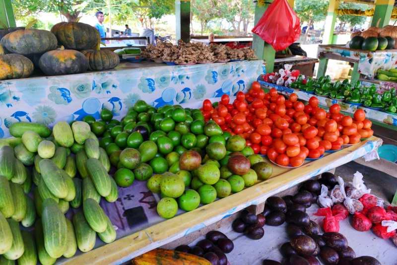 251-觀光果菜市場-東帝汶