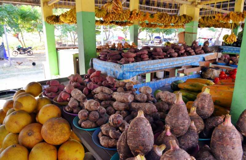 253-觀光果菜市場-東帝汶